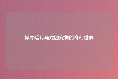 探寻暗月马戏团宠物的奇幻世界