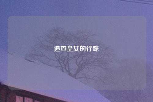 追查皇女的行踪