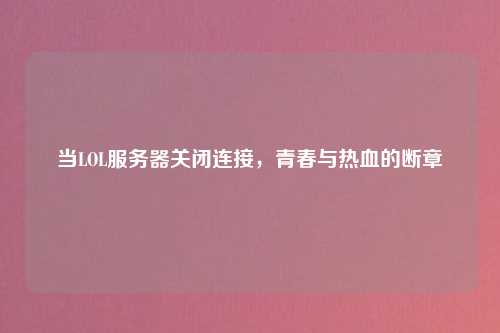 当LOL服务器关闭连接，青春与热血的断章