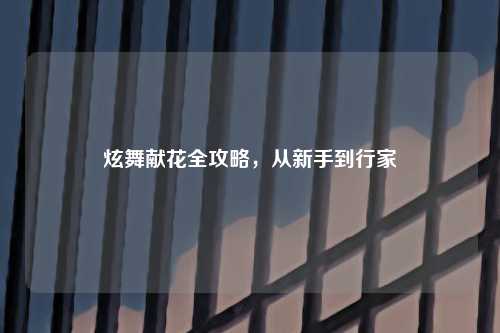 炫舞献花全攻略，从新手到行家