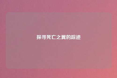探寻死亡之翼的踪迹