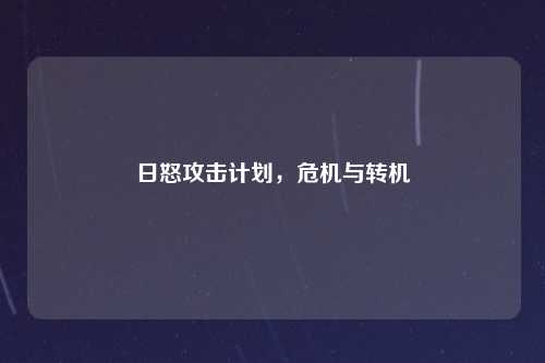 日怒攻击计划，危机与转机