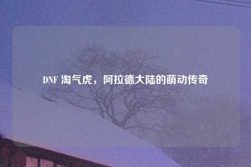 DNF 淘气虎，阿拉德大陆的萌动传奇