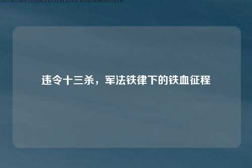 违令十三杀，军法铁律下的铁血征程