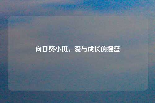 向日葵小班，爱与成长的摇篮