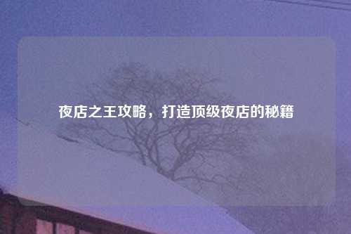 夜店之王攻略，打造顶级夜店的秘籍