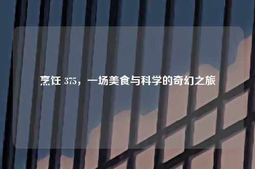 烹饪 375，一场美食与科学的奇幻之旅