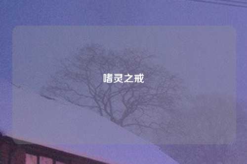 嗜灵之戒
