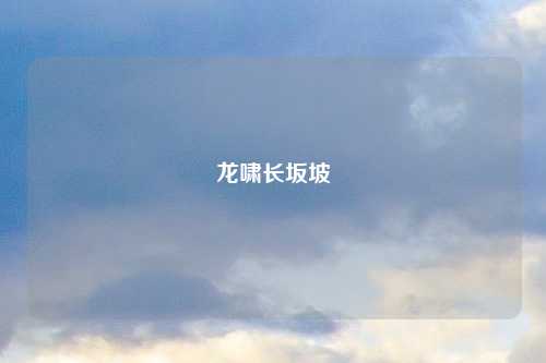 龙啸长坂坡