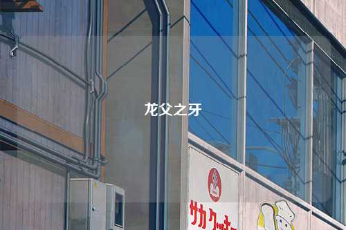 龙父之牙