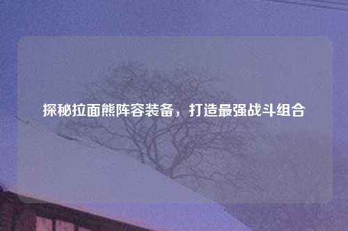 探秘拉面熊阵容装备，打造最强战斗组合