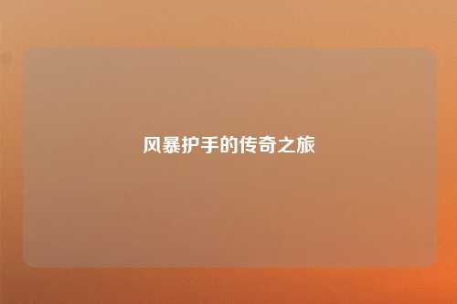 风暴护手的传奇之旅