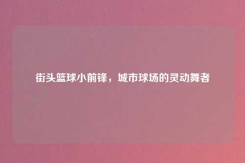 街头篮球小前锋，城市球场的灵动舞者