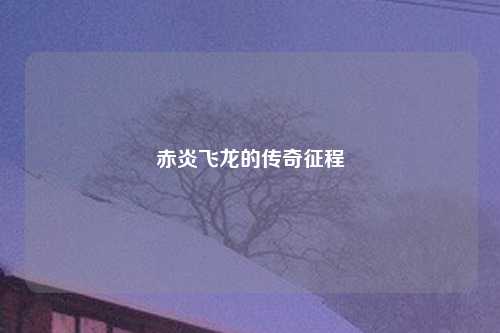 赤炎飞龙的传奇征程