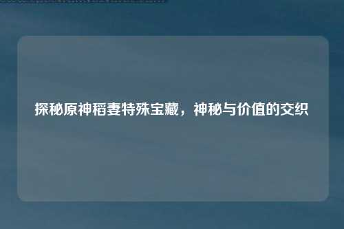 探秘原神稻妻特殊宝藏，神秘与价值的交织
