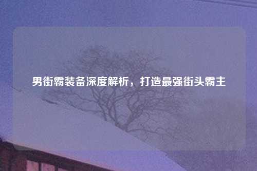 男街霸装备深度解析，打造最强街头霸主