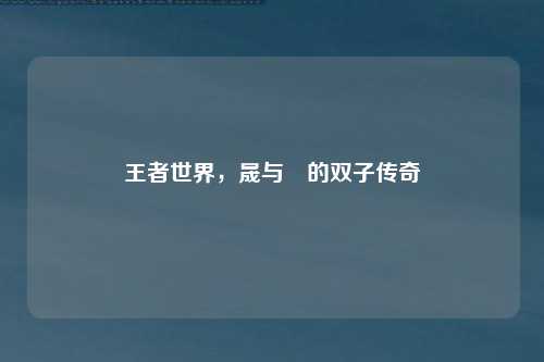 王者世界，晟与暃的双子传奇