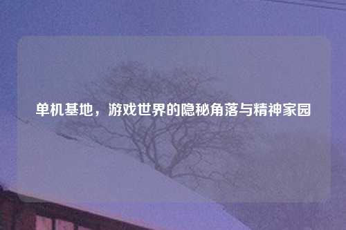 单机基地，游戏世界的隐秘角落与精神家园