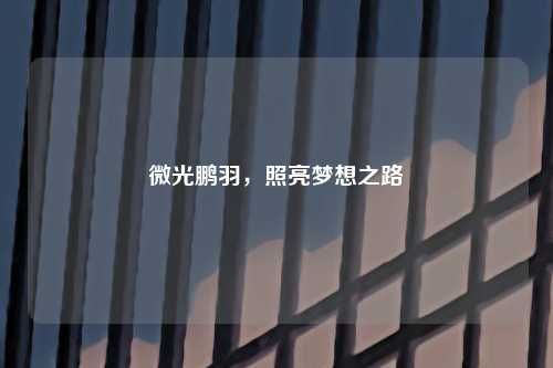 微光鹏羽，照亮梦想之路