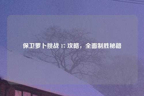 保卫萝卜挑战 17 攻略，全面制胜秘籍