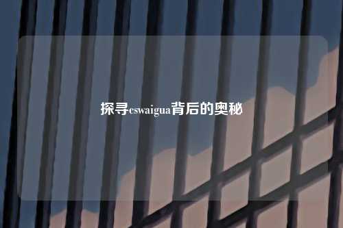 探寻cswaigua背后的奥秘