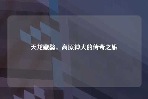 天龙藏獒，高原神犬的传奇之旅