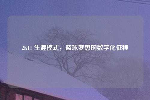 2K11 生涯模式，篮球梦想的数字化征程