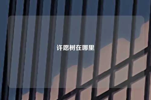许愿树在哪里