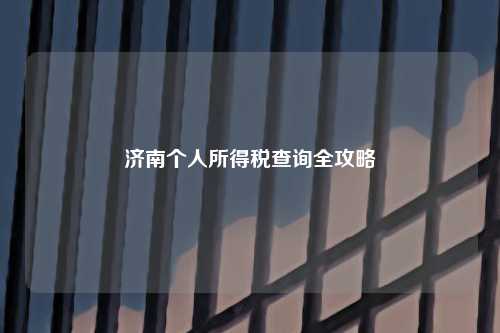济南个人所得税查询全攻略
