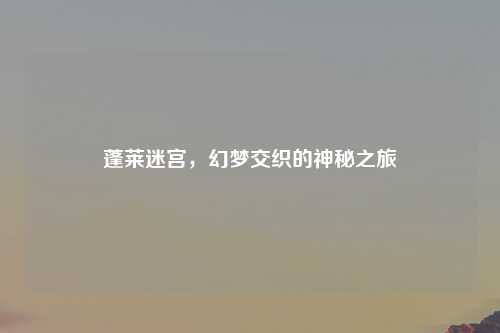 蓬莱迷宫，幻梦交织的神秘之旅