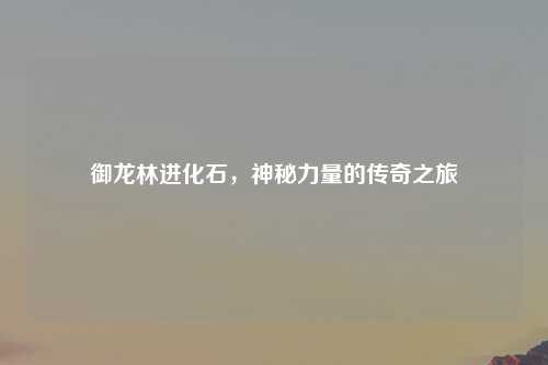 御龙林进化石，神秘力量的传奇之旅
