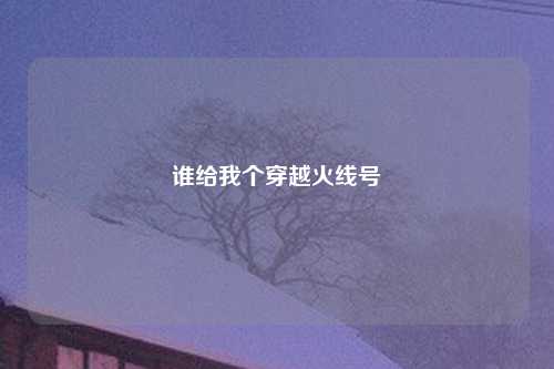 谁给我个穿越火线号
