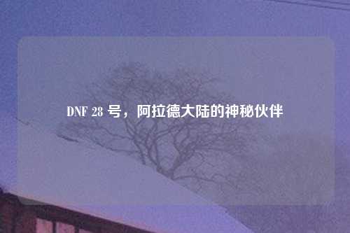 DNF 28 号，阿拉德大陆的神秘伙伴