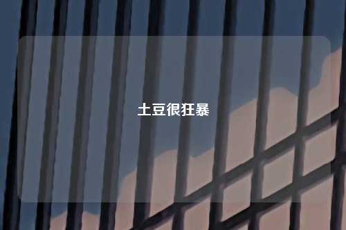 土豆很狂暴