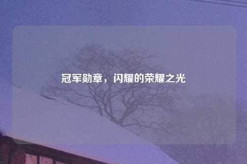 冠军勋章，闪耀的荣耀之光