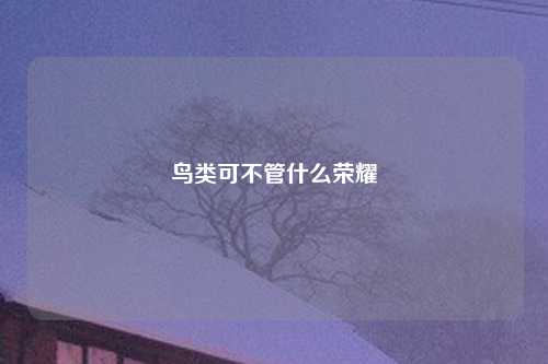 鸟类可不管什么荣耀