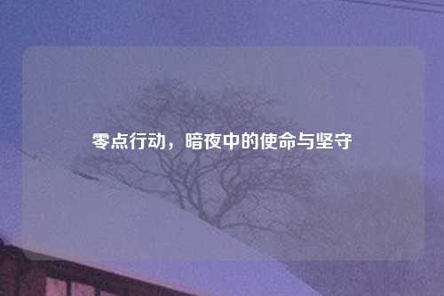 零点行动，暗夜中的使命与坚守