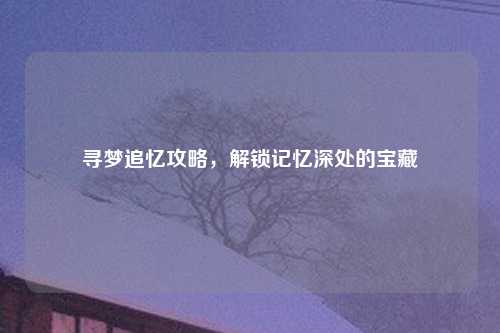 寻梦追忆攻略，解锁记忆深处的宝藏