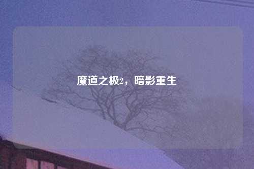 魔道之极2，暗影重生