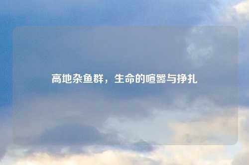 高地杂鱼群，生命的喧嚣与挣扎