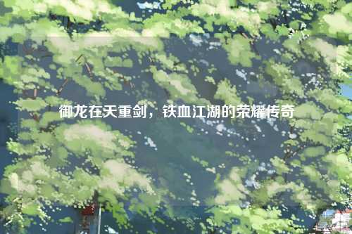 御龙在天重剑，铁血江湖的荣耀传奇
