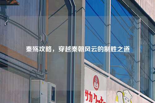 秦殇攻略，穿越秦朝风云的制胜之道