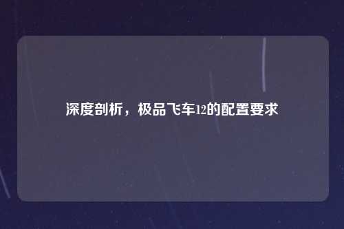 深度剖析，极品飞车12的配置要求