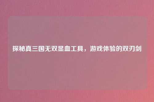 探秘真三国无双显血工具，游戏体验的双刃剑
