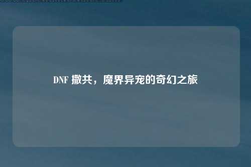 DNF 撒共，魔界异宠的奇幻之旅