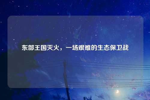 东部王国灭火，一场艰难的生态保卫战