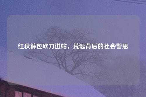 红秋裤包砍刀进站，荒诞背后的社会警思