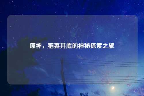 原神，稻妻井底的神秘探索之旅