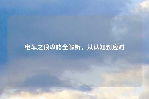 电车之狼攻略全解析，从认知到应对