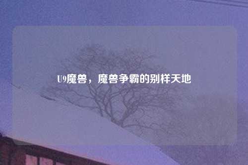 U9魔兽，魔兽争霸的别样天地